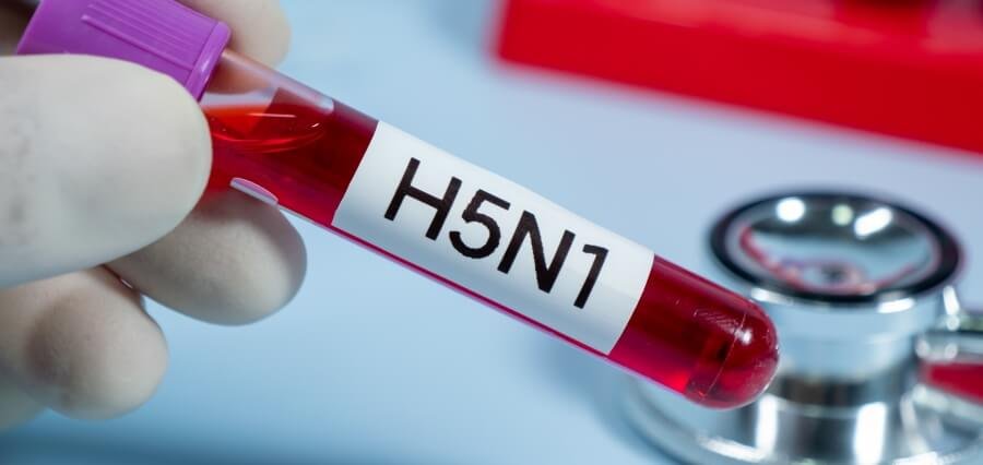 H5N1